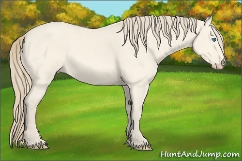 Horse Color:Perlino Dun