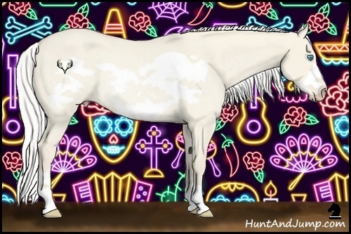 Horse Color:Silver Smoky Creme Roan Dun Frame Rabicano 