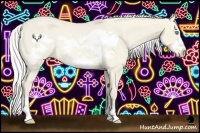 Horse Color:Silver Smoky Creme Roan Dun Frame Rabicano