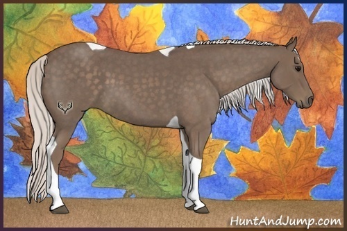 Horse Color:Silver Blue Roan Tobiano 