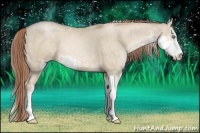 Horse Color:Smoky Grullo Pearl Sabino