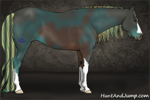 Horse Color:Painted Liver Chestnut 
