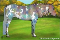 Horse Color:Nacre White Spotted Chocolate Palomino 