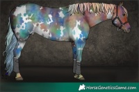 Horse Color:Nacre White Spotted Chocolate Palomino 
