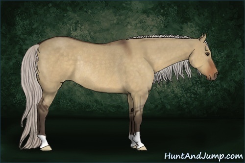 Horse Color:Silver Brown Dun Rabicano 