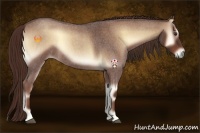 Horse Color:Red Onyx Roan
