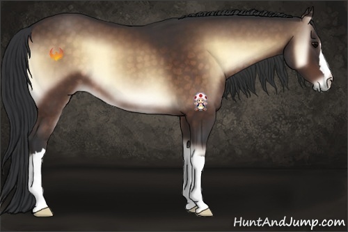 Horse Color:Brown Onyx