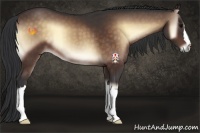 Horse Color:Brown Onyx 