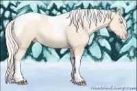 Horse Color:Silver Amber Cream Champagne Pearl Tobiano 