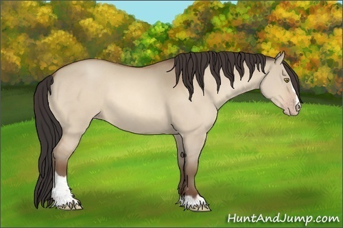 Horse Color:Sable Champagne Dun Sabino 