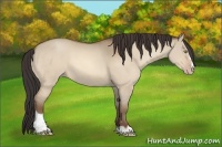 Horse Color:Sable Champagne Dun Sabino 