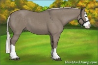 Horse Color:Silver Grullo Sabino Splash 
