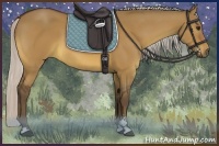 Horse Color:Silver Bay Dun Sabino 
