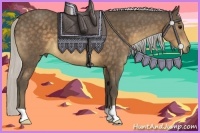 Horse Color:Silver Buckskin 