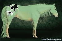 Horse Color:Watercolor Chestnut Sabino Appaloosa 