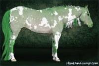 Horse Color:Watercolor White Spotted Bay Dun Varnish Rabicano