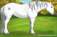 Horse Color:Black Ice Sabino Rabicano 