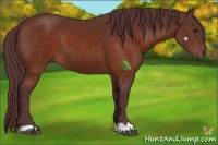 Horse Color:Chocolate Brown 
