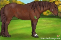 Horse Color:Chocolate Brown 