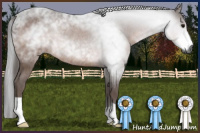 Horse Color:Gray Bay Rabicano