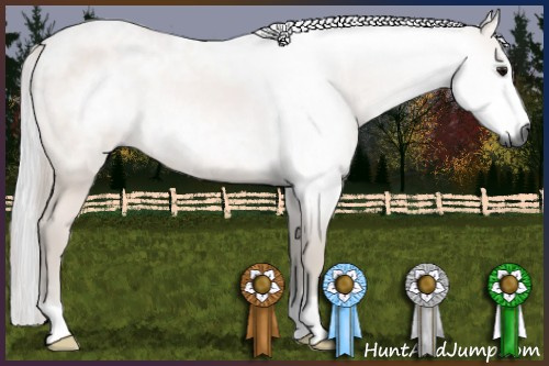 Horse Color:Gray Bay 