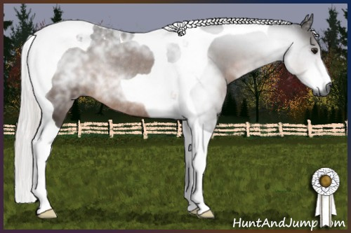 Horse Color:Gray Silver Brown Tobiano Rabicano