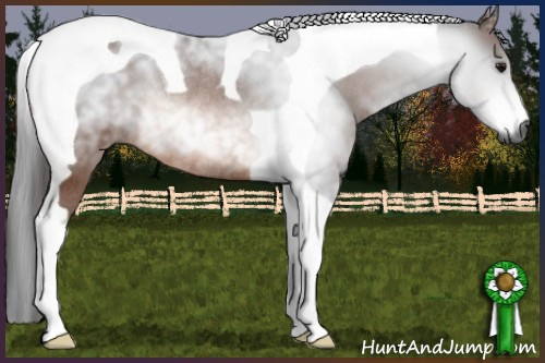 Horse Color:Gray Bay Tobiano Rabicano 