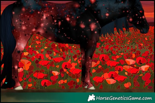 Horse Color:ERROR: UNKNOWN ANOMALY