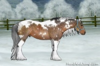 Horse Color:White Spotted Buckskin Tobiano 