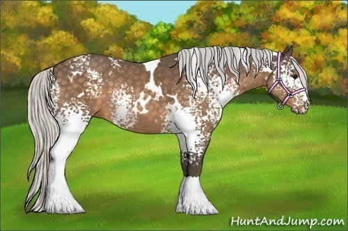 Horse Color:White Spotted Silver Buckskin Rabicano