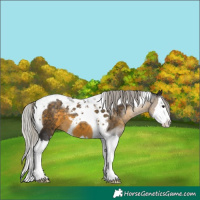Horse Color:Silver Buckskin Splash Tobiano