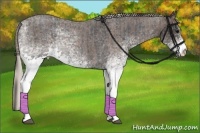 Horse Color:White Spotted Blue Roan Rabicano  and White Spotted Silver Blue Roan Rabicano 