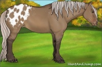 Horse Color:Silver Brown Dun Blanket
