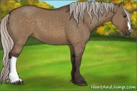 Horse Color:Silver Brown Dun 