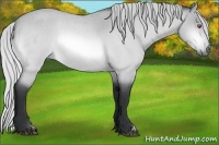 Horse Color:Silver Buckskin Chinchilla Roan 