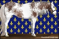 Horse Color:White Spotted Silver Bay Ice Rabicano 