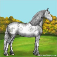 Horse Color:Silver Black Chinchilla Ice Sabino Frame Rabicano