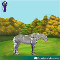 Horse Color:White Spotted Silver Amber Cream Champagne