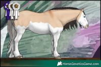 Horse Color:Bay Dun Splash 