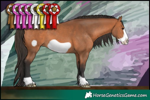Horse Color:Bay Frame