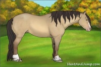 Horse Color:Sable Champagne Dun Sabino