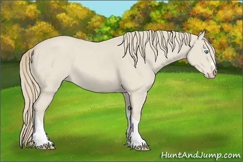 Horse Color:Smoky Creme 