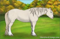 Horse Color:Smoky Creme 