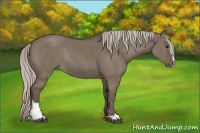 Horse Color:Silver Grullo Sabino Rabicano