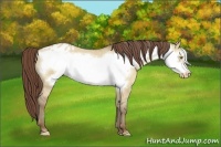 Horse Color:Sable Champagne Dun Frame Varnish 
