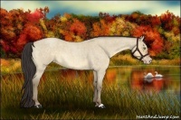 Horse Color:Sable Cream Champagne Roan Dun