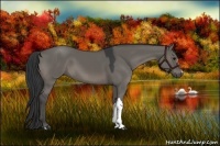 Horse Color:Grullo 