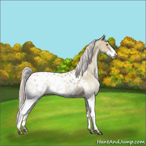 Horse Color:White Spotted Silver Brown Pearl Dun Blanket