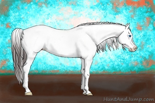 Horse Color:Brown Dun Sabino Splash Varnish 