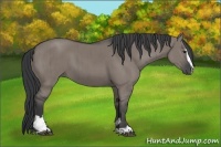 Horse Color:Grullo Sabino Brindle 